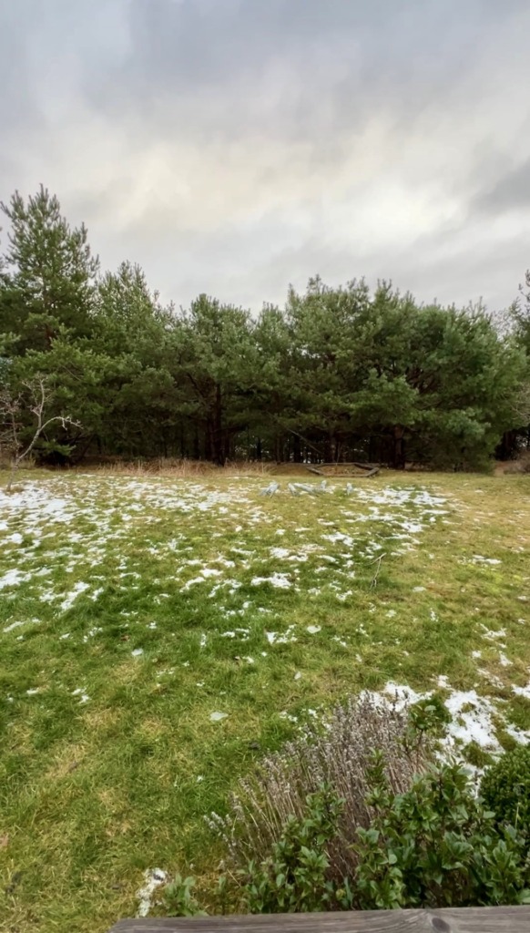 Byggnation av staket på Ekerö